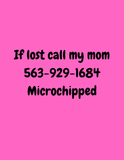 Dog Tags